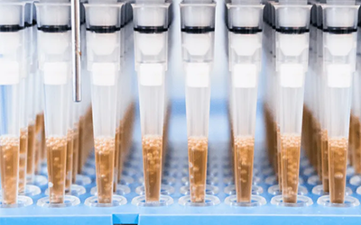 提高自动化移液设备进行血清类样品分析的性能