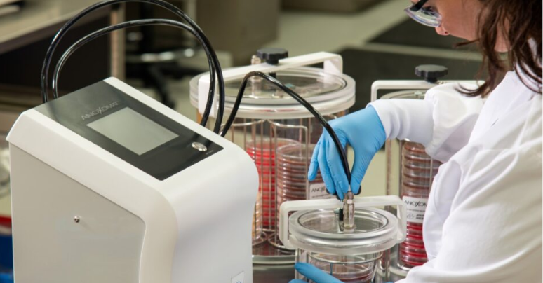 在线演示：用于临床实验室的厌氧培养罐