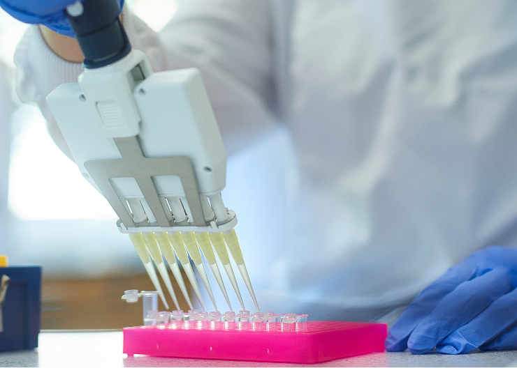 多通道移液器的使用