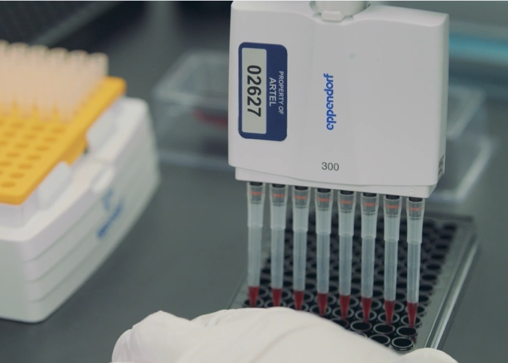 用于验证多通道移液装置性能的双染料比例光度系统