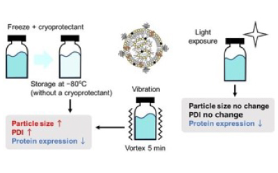 新探索:渗透压作为RNA治疗药物生产工艺的CQA